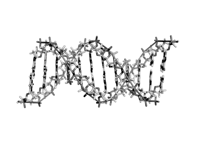 DNA (Bildnachweis im Impressum)