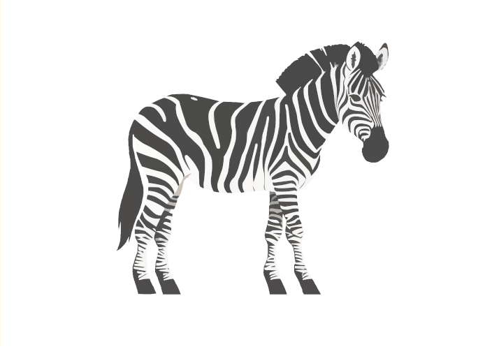 Zebra (Bildnachweis im Impressum)